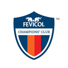 Fevicol